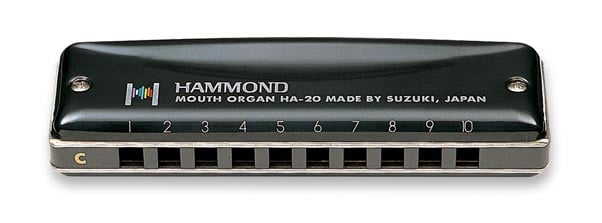 Suzuki Promaster Hammond Harmonica
