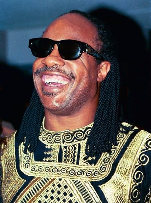 Stevie Wonder, a harmonica player